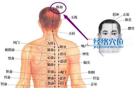 足太阳膀胱经络却穴位图