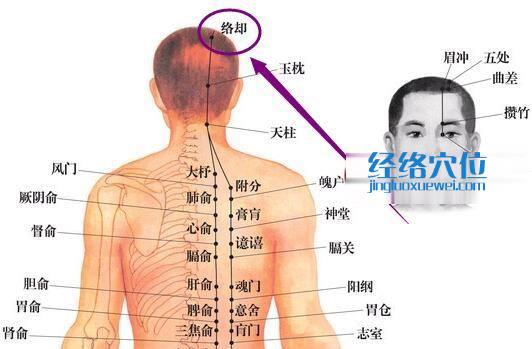 足太阳膀胱经络却穴位图