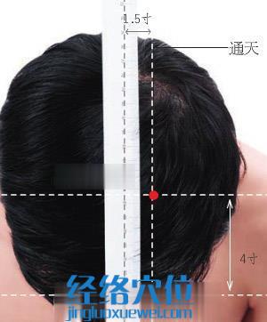 通天穴的取穴方法图