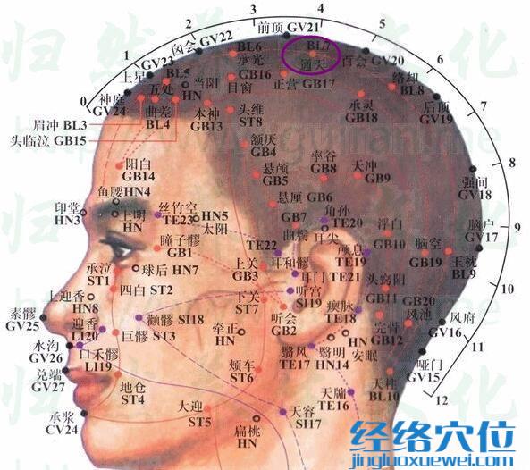 通天穴的准确位置图