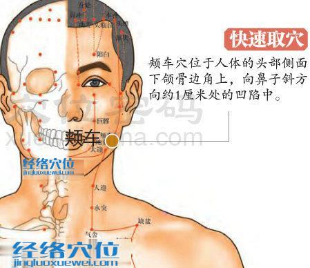 颊车穴的准确位置图