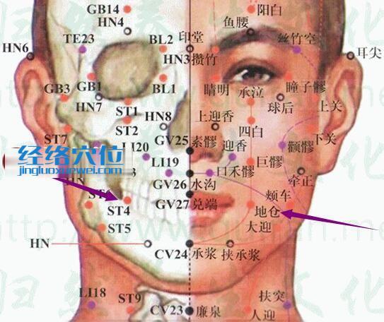 地仓穴的准确置图