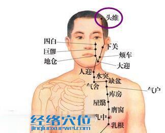 头维穴位位置图