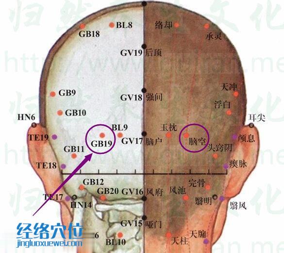 脑空穴位置位置图