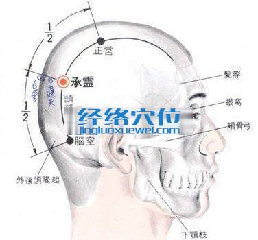 承灵穴的位置解剖分析图