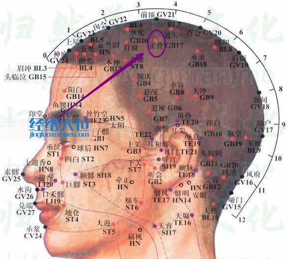 正营穴的准确位置图