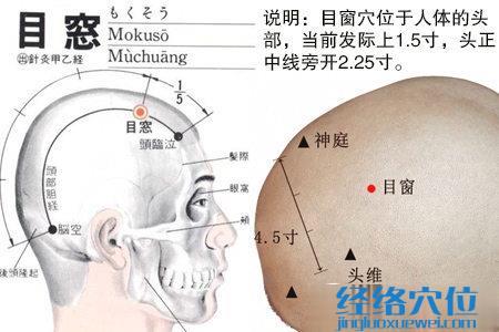 目窗穴的位置解剖分析图