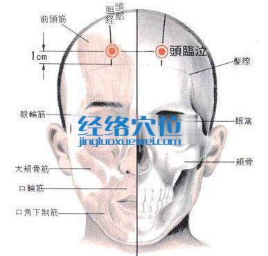 头临泣穴