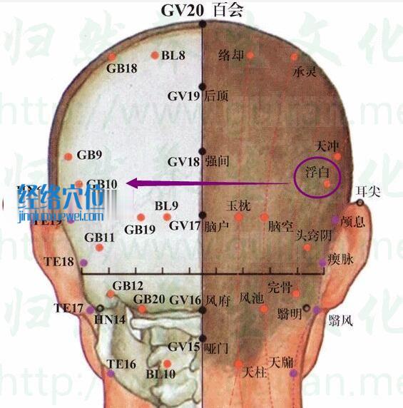 浮白穴的准确位置图