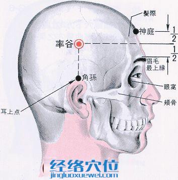 率谷穴的位置解剖分析图