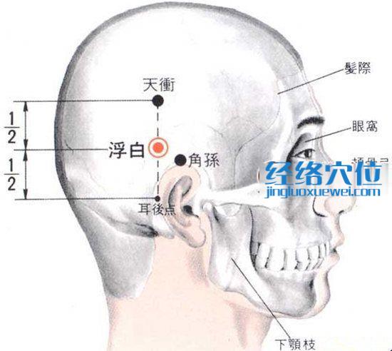 浮白穴的位置解剖分析图