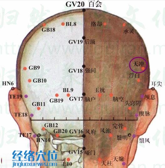 天冲穴的准确位置图