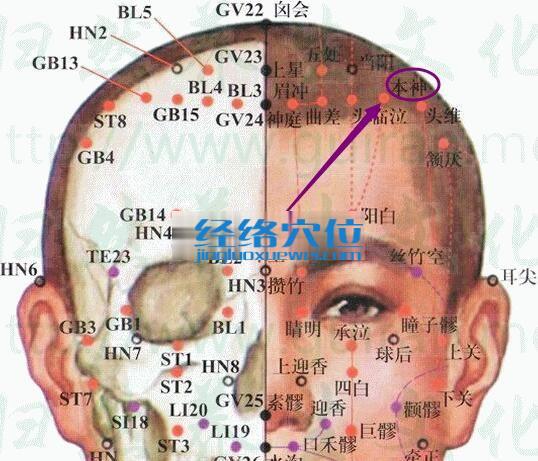 本神穴的准确位置图