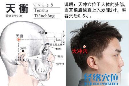 天冲穴的位置解剖分析图