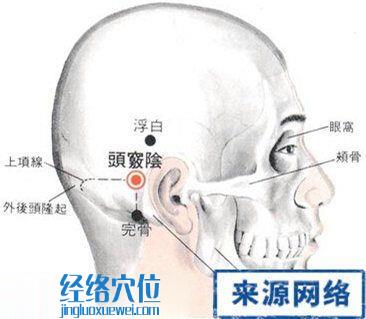 头窍阴穴的位置解剖分析图