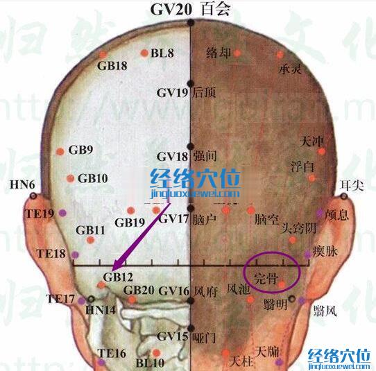 完骨穴的准确位置图