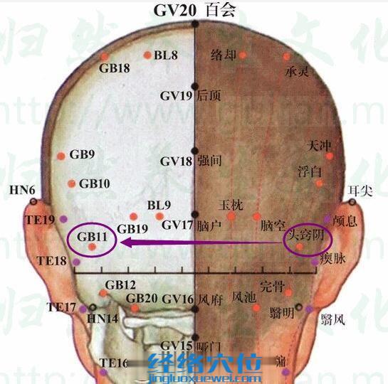 头窍阴穴的准确位置图