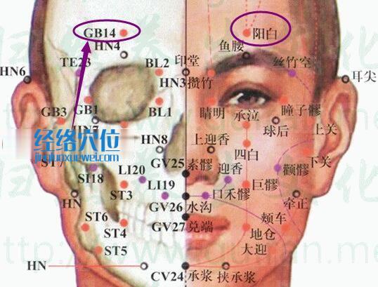 阳白穴的准确位置图