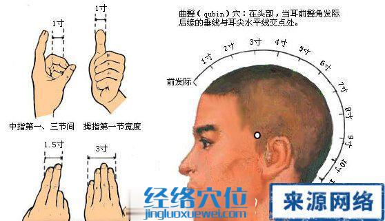 曲鬓穴的位置图