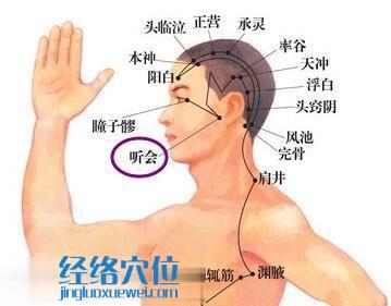 听会穴位位置图