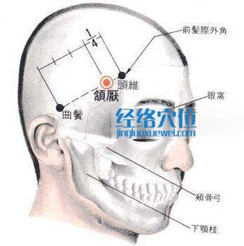 颔厌穴的位置解剖分析图