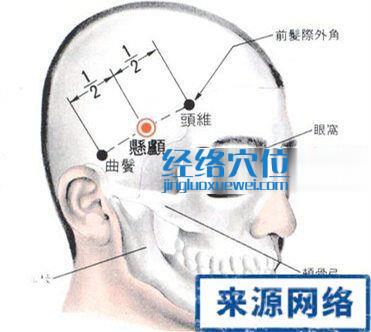 悬颅穴的位置解剖分析图