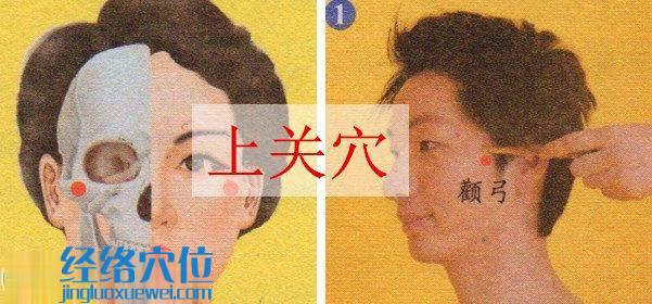 上关穴的位置图