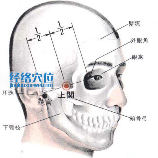 上关穴的位置解剖分析图