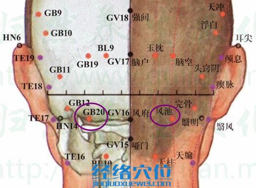 风池穴的准确位置图