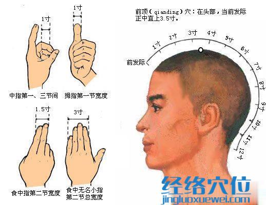 前顶穴的准确位置图