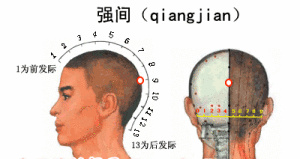 强间穴的位置图