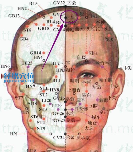 上星穴的准确位置图