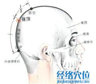 后顶穴的位置解剖分析图