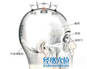 前顶穴的位置解剖分析图