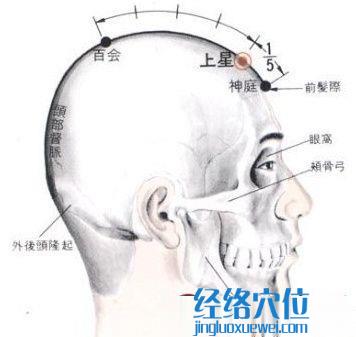 上星穴的位置解剖分析图