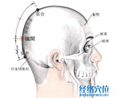 强间穴的位置解剖分析图