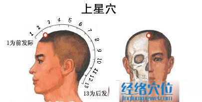 上星穴位位置图