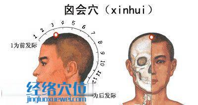 囟会穴的位置图