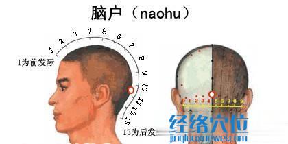 脑户穴的准确位置图