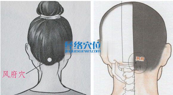 风府穴位位置图