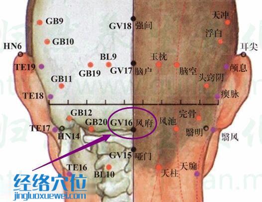 风府穴的准确位置图