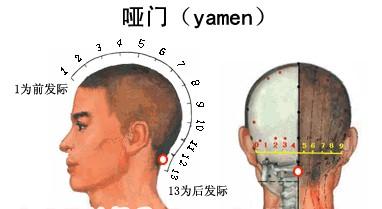 哑门穴的位置图