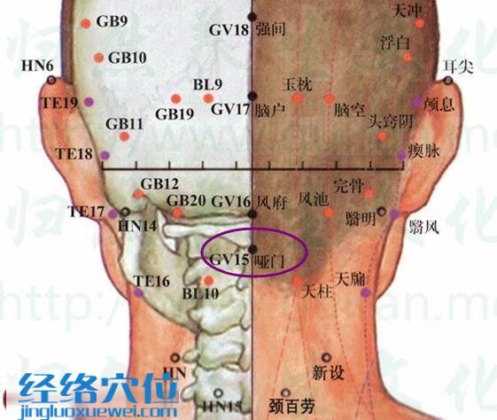 哑门穴的准确位置图