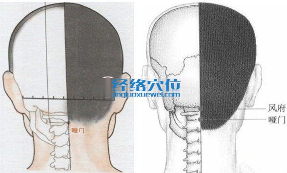 哑门穴位位置图