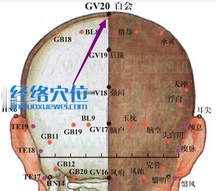 百会穴位位置图