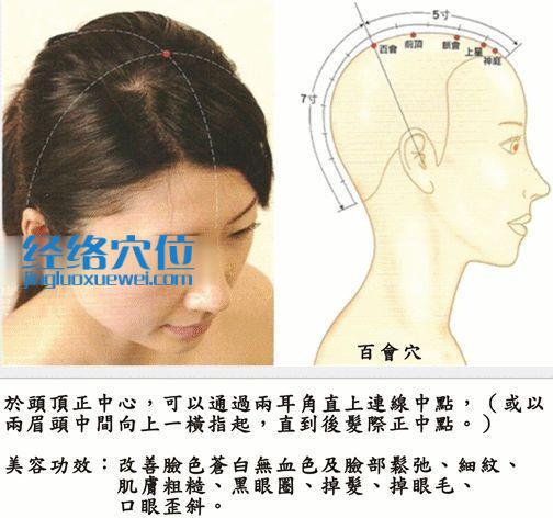 百会穴的准确位置图