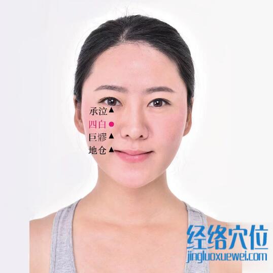 四白的准确位置图及功效视频