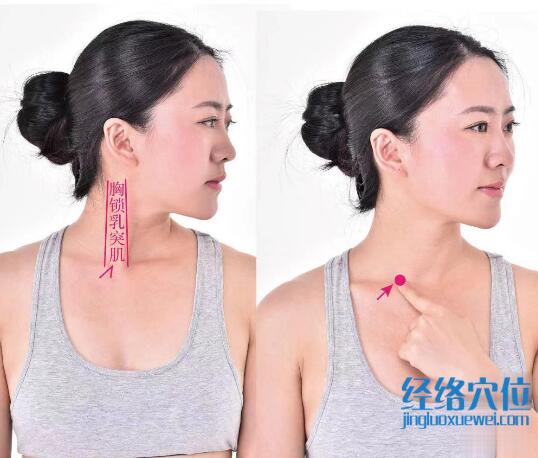 缺盆的准确位置图及功效视频
