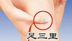 【足三里穴位位置图】人体后天第一大补穴