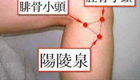 阳陵泉穴位位置图及作用功效